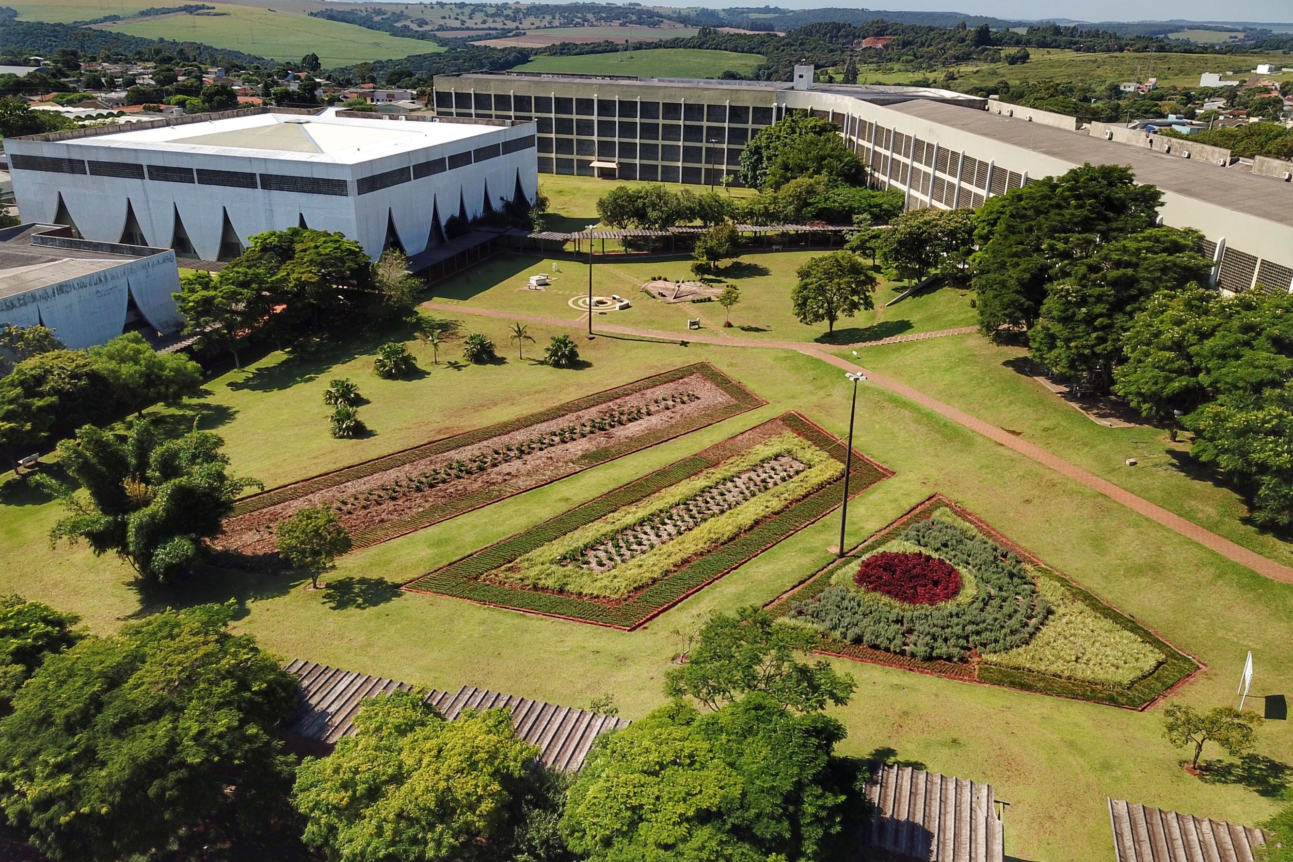 foto Notícia Londrina